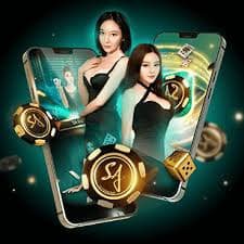 bgc33